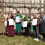 Rez trte na Ptujskem gradu